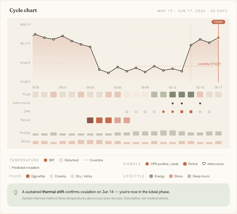 A real cycle chart: BBT line with the coverline and ovulation marked, plus fluid, OPK, period and lifestyle rows